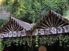-西双版纳原始森林公园
