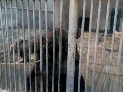 -祥源·阜阳生态乐园