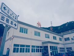 -枸杞岛