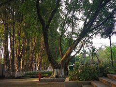 -广东外语外贸大学(白云山校区)