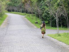 -上海海湾国家森林公园