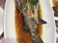-骏莱海鲜鱼港(五角场店)