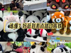 -成都东站