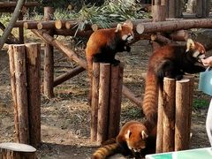 -宁波野生动物园