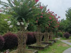 -武汉紫薇都市田园