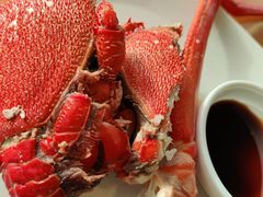 -视界美食自助餐厅·石家庄希尔顿酒店