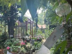 -谷咖啡·鲜花绿植花园餐厅