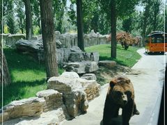 -北京野生动物园