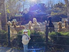 -大连森林动物园