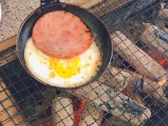 -吴淞炮台湾湿地森林公园烧烤区