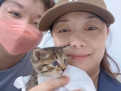 -良伴无忧宠物医院(泰欣嘉园店)