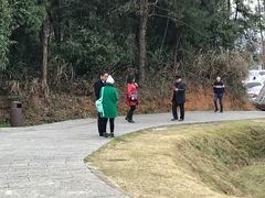 -崇阳三特浪口温泉