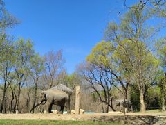 -北京野生动物园