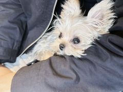 -小意思咖啡店(草桥店)