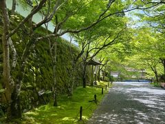 -三千院