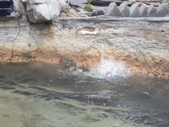 -深业半汤御泉庄温泉