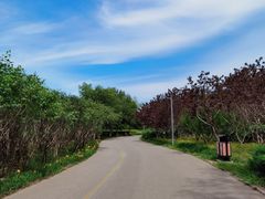 -永定河休闲森林公园