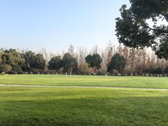 -合肥滨湖国家森林公园