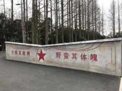 -上海长兴岛郊野公园