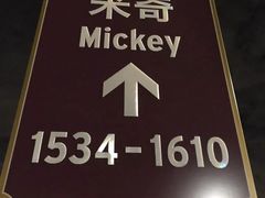 -迪士尼乐园停车场