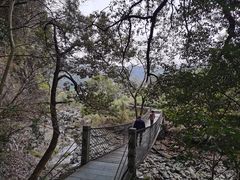 -石台牯牛降景区