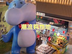 -盒马鲜生(189购物中心店)