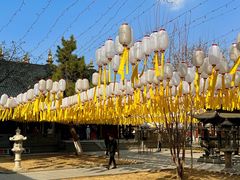 -护国法轮寺