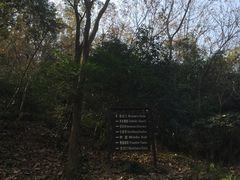 路径-上海佘山国家森林公园西佘山园