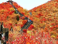 -狼牙山风景区