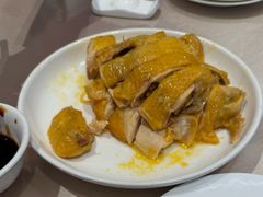 白切本鸡-群乐饭店(滨安路店)