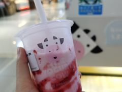 -一只酸奶牛(成都sm广场店)