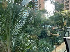 -亚马逊丛林水乐园