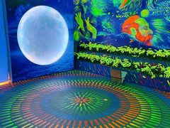 -天津梵高星空艺术馆(天河城旗舰店)