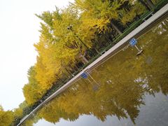 -玲珑塔公园