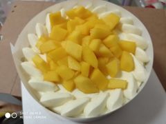 -维尔纳斯·生日蛋糕·动物奶油冰淇淋蛋糕(六里桥店)