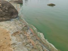 -瑶湖郊野森林公园