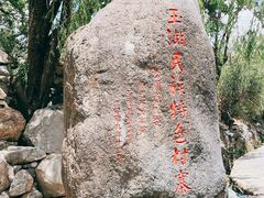 -玉湖村