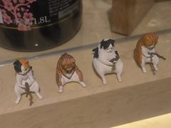 -鞠橘居酒屋(仁恒江湾新天地店)