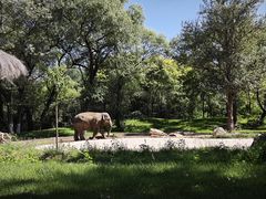 -北京野生动物园