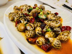 辣炒花螺-华盛丰温州大排档(东三环南路店)
