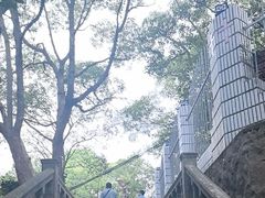 -青龙山公园
