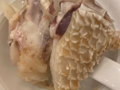-正能量脆肉鲩火锅