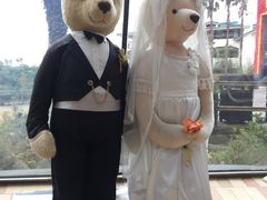 -济州岛泰迪熊博物馆