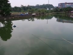 -荔枝红五号农庄