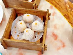 -新金盛·海鲜酒楼(盐田店)