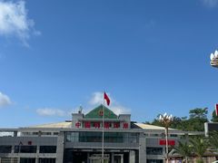 -打洛口岸