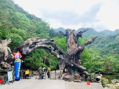 -龙湾潭国家森林公园