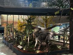 -湖南省地质博物馆