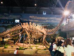 -自贡恐龙博物馆