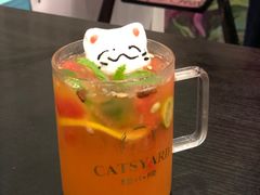 -猫小院猫主题咖啡厅(北锣店)